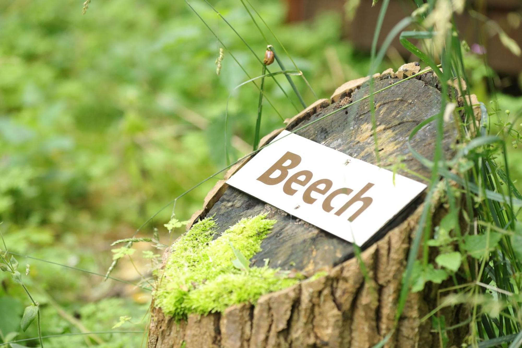 Deer'S Glade Caravan & Camping Park Norwich Buitenkant foto